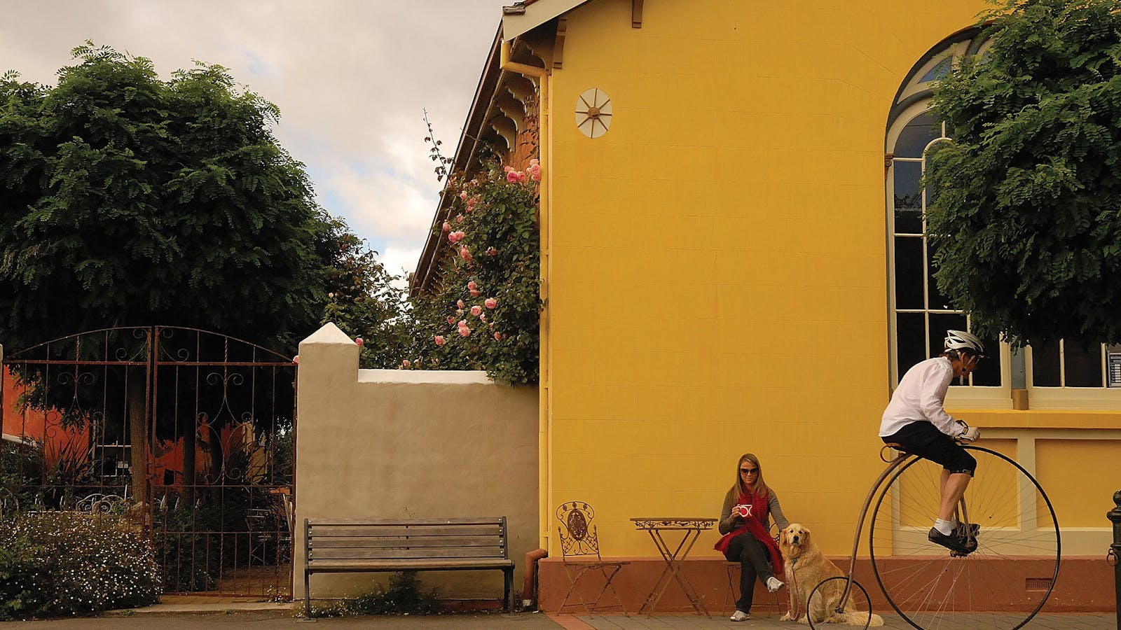 Penny Farthings - Evandale