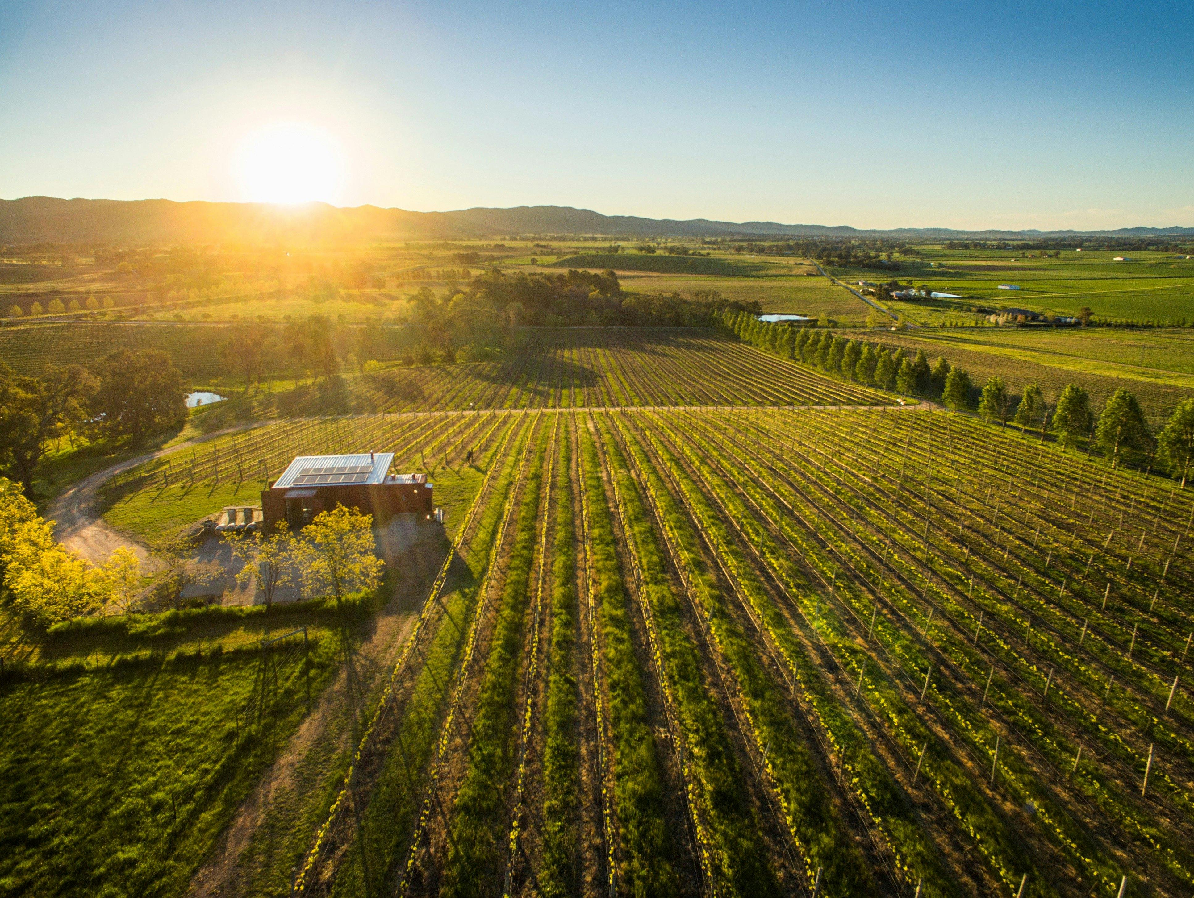 Views from First Ridge Cellar Door in Mudgee
