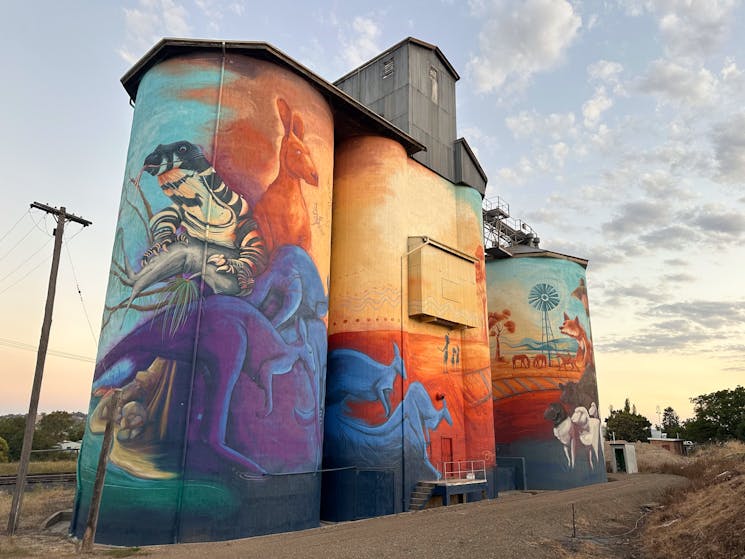 Northern aspect of silo with Goanna