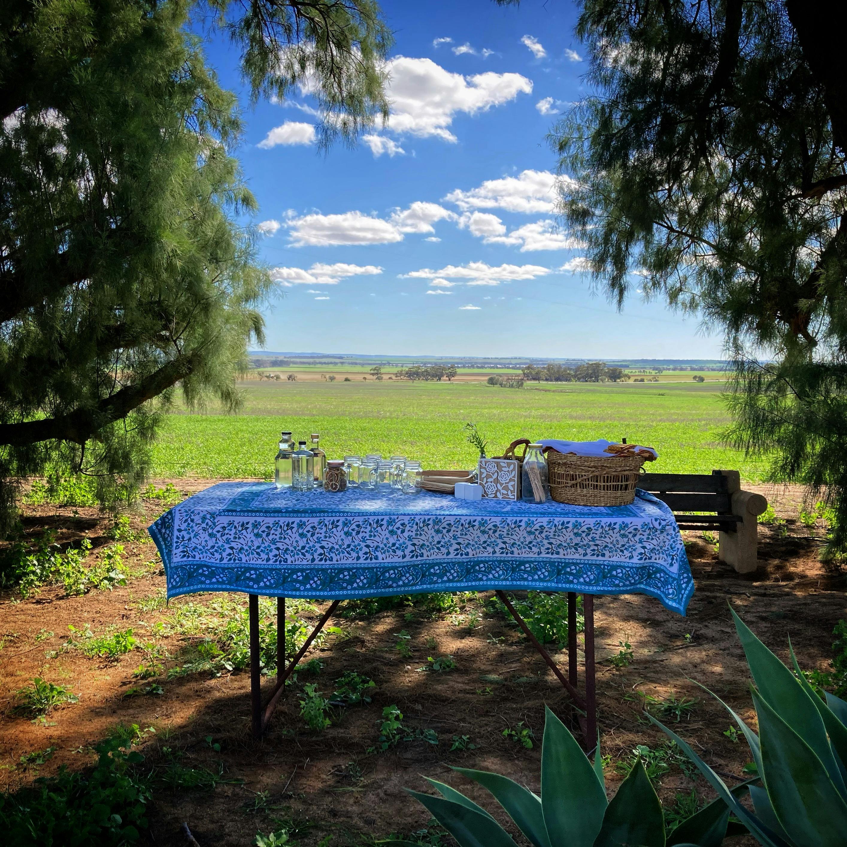 Big Tractor (and more) Day Trip