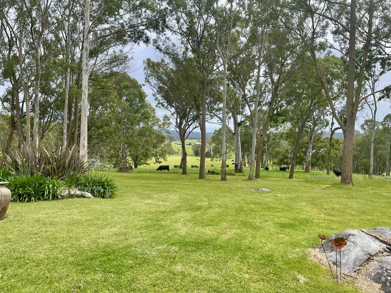 Bushland Escape Moruya Holiday Accomodation NSW Private Nature Retreat Suits Groups and Families