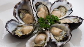Tathra Oysters