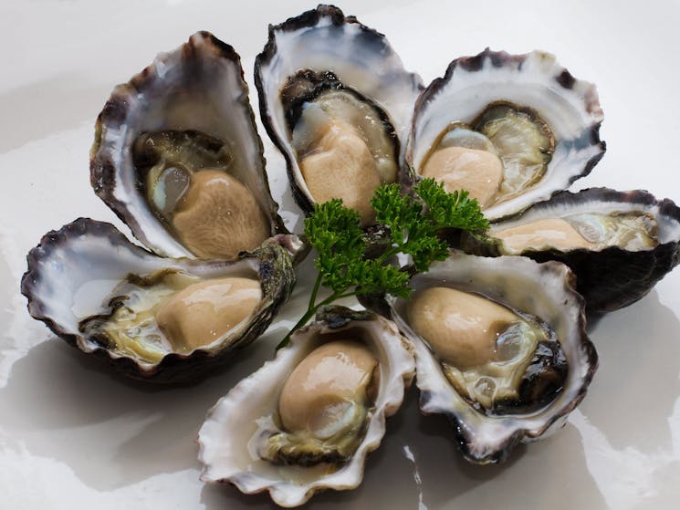 Luscious Tathra Oysters grown in the Pristine waters of Nelsons Lake in Mimosa Rocks National Park,