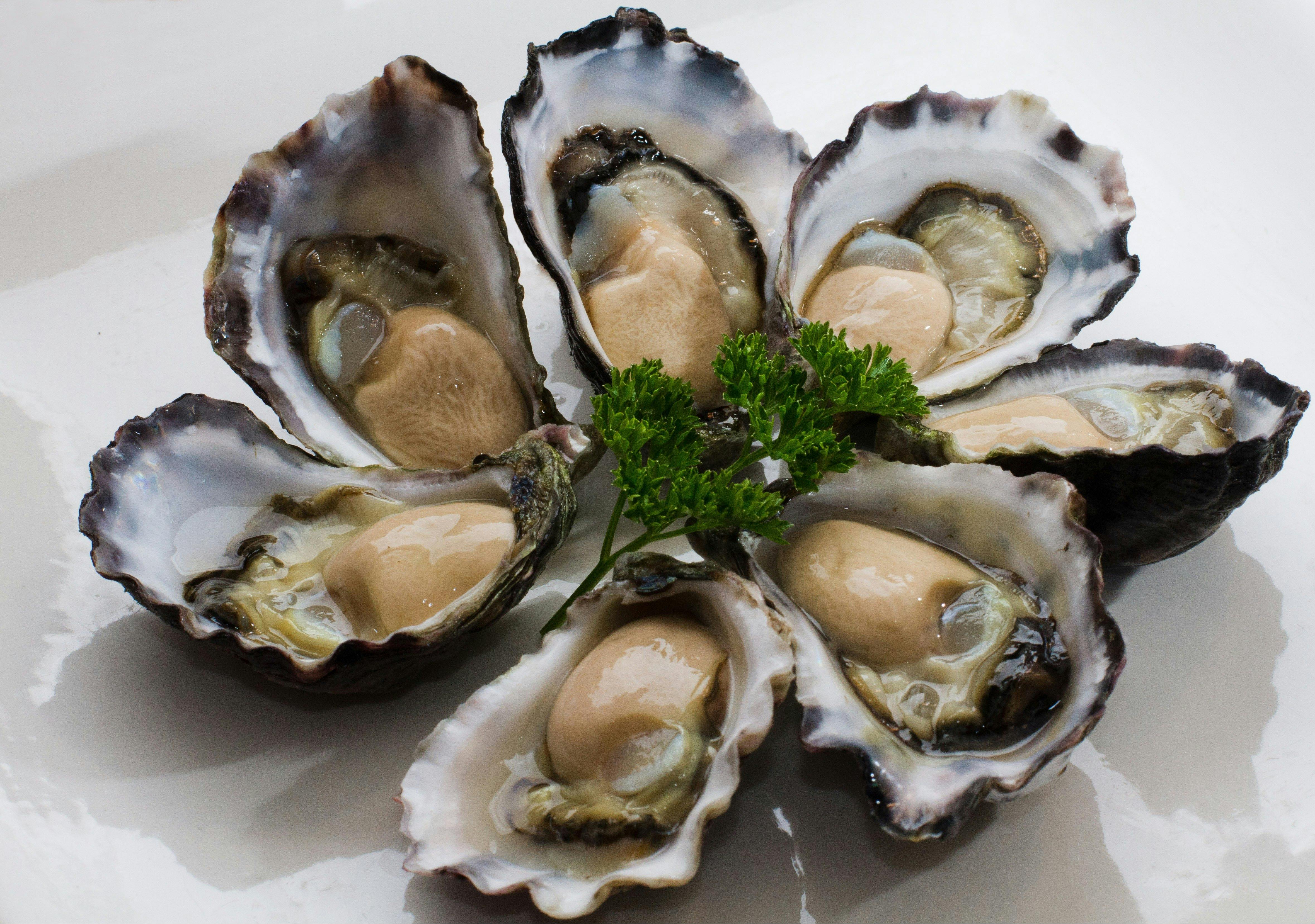 Tathra Oysters | NSW Holidays & Accommodation, Things to Do