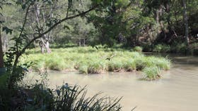Creek at Bellthore National Park