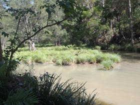 Bellthorpe National Park