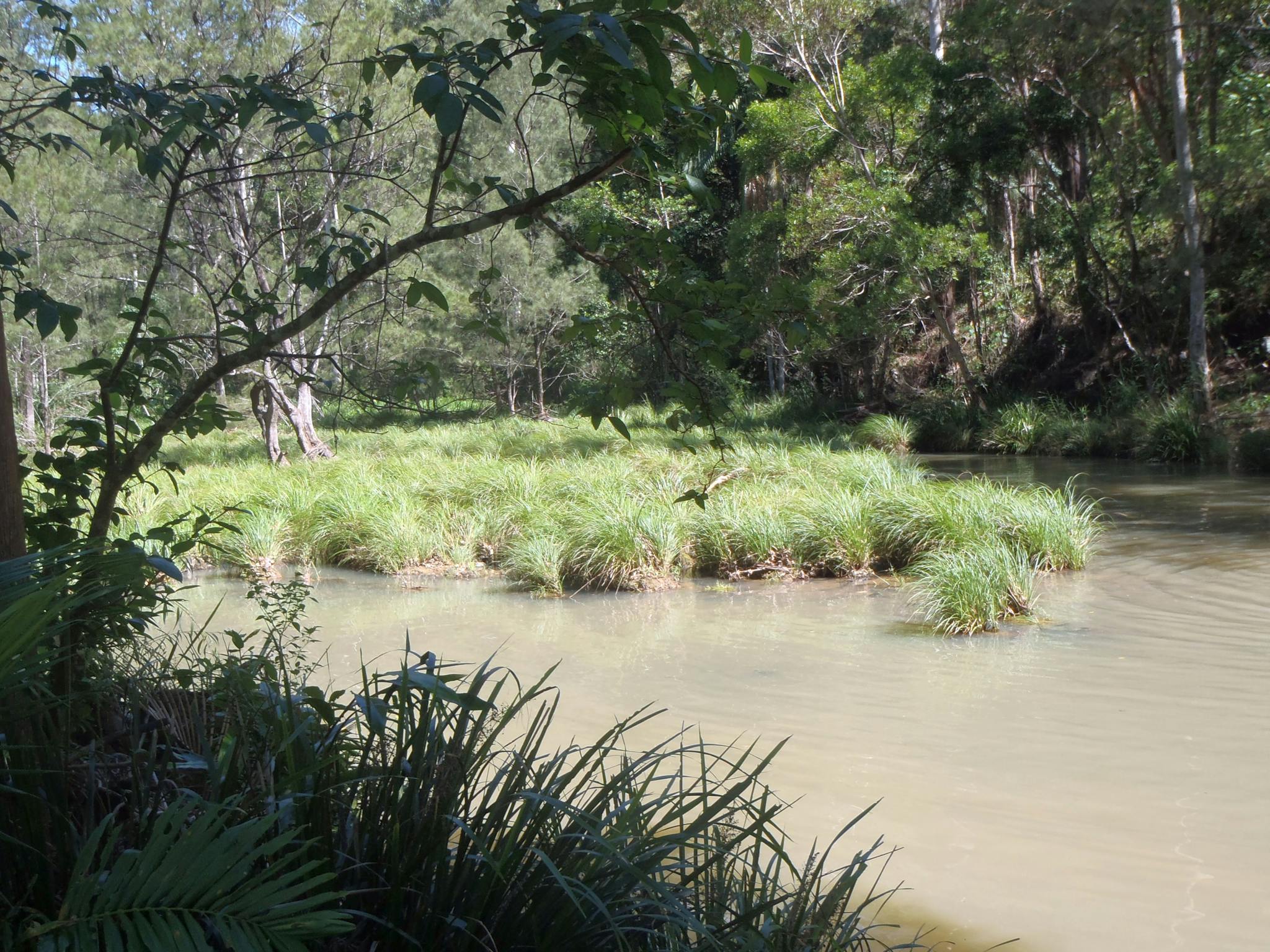 Creek at Bellthore National Park Creek at Bellthore National Park