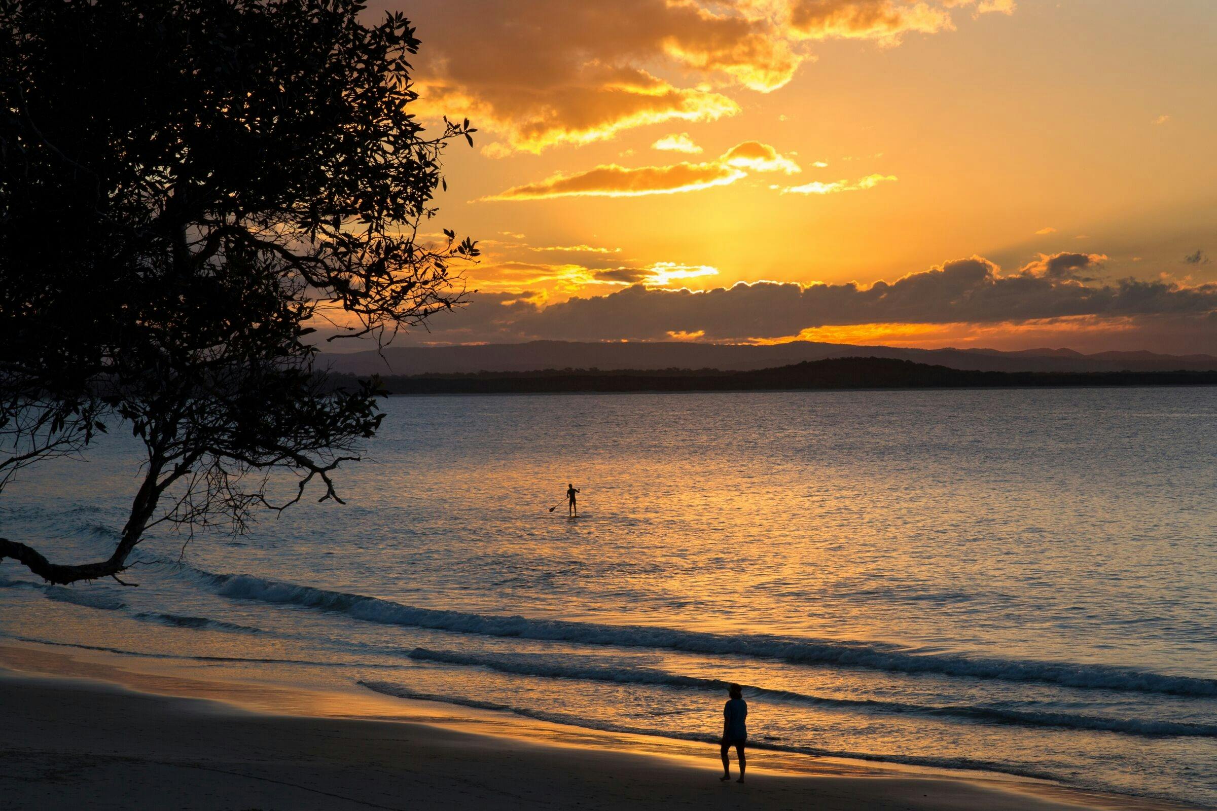 noosa