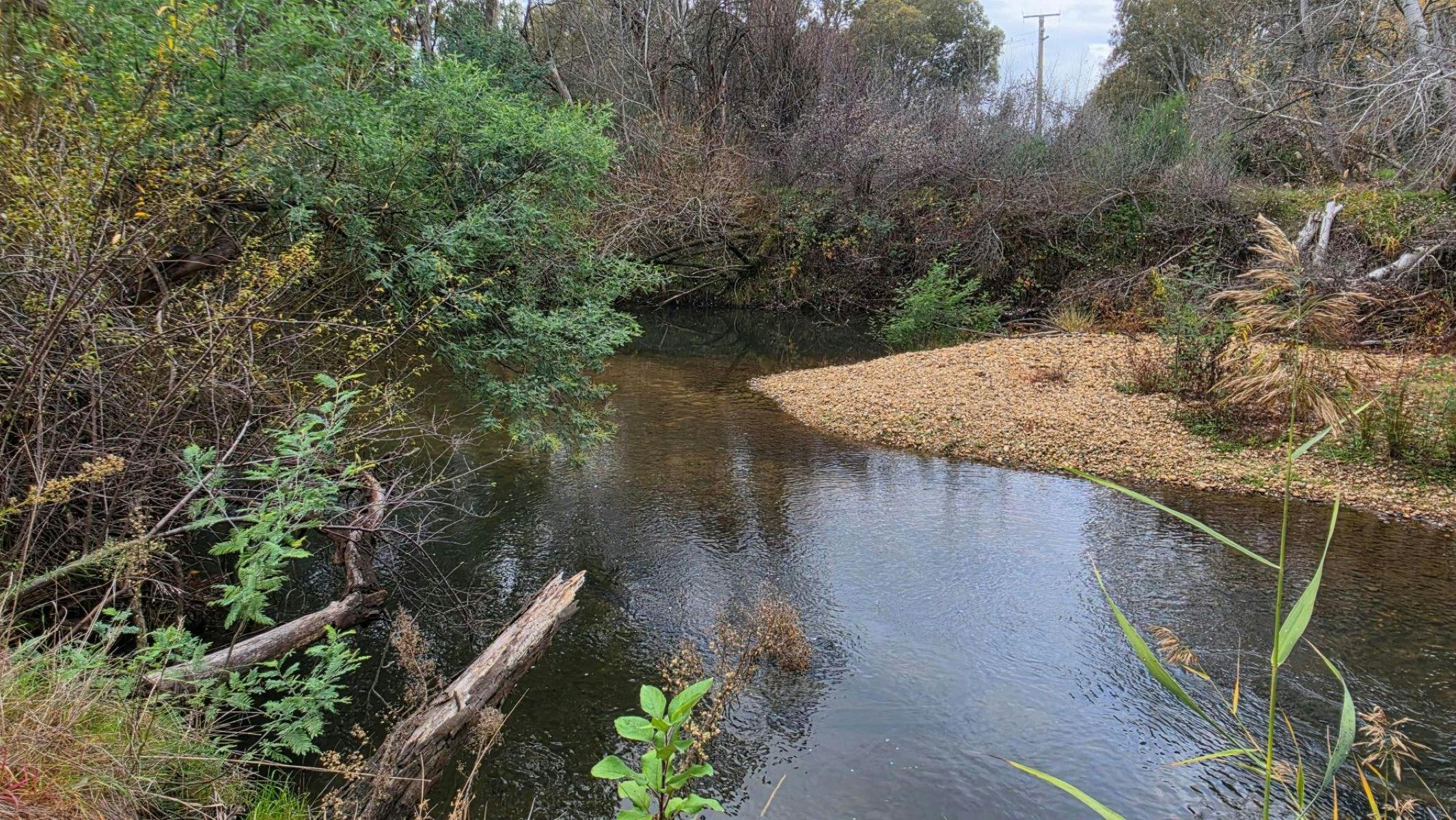 A river lined with rocky bank and trees