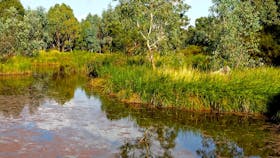 Mansfield Mullum Wetlands