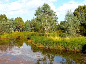 Mansfield Mullum Wetlands