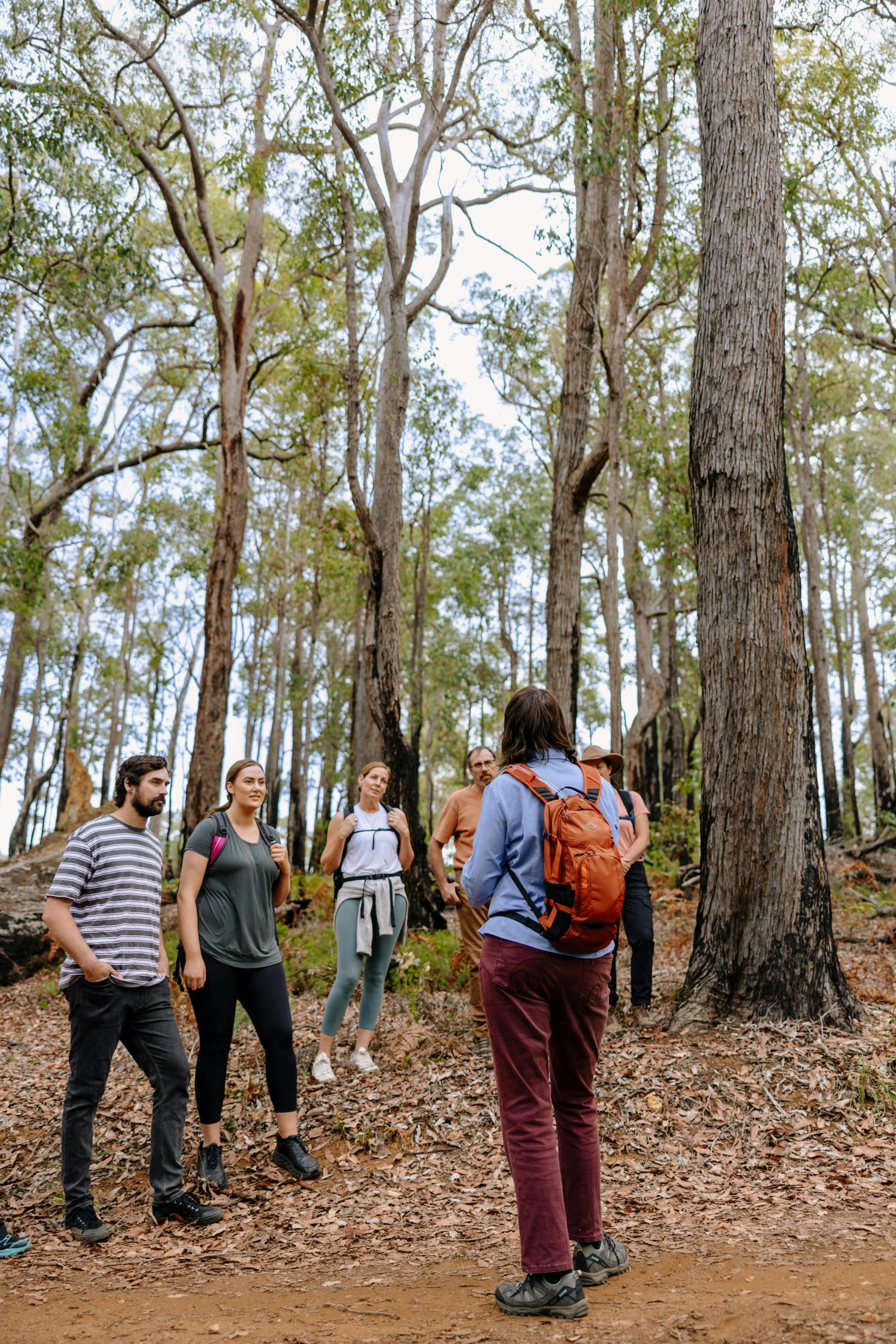 Under the Jarrah Canopy with nature
