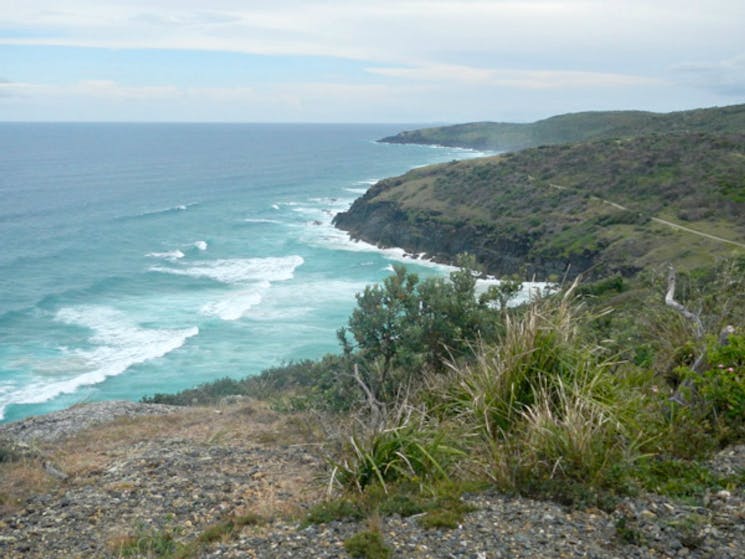 Korogoro Walking track, Hat Head National Park. Photo: Debby McGerty/NSW Government