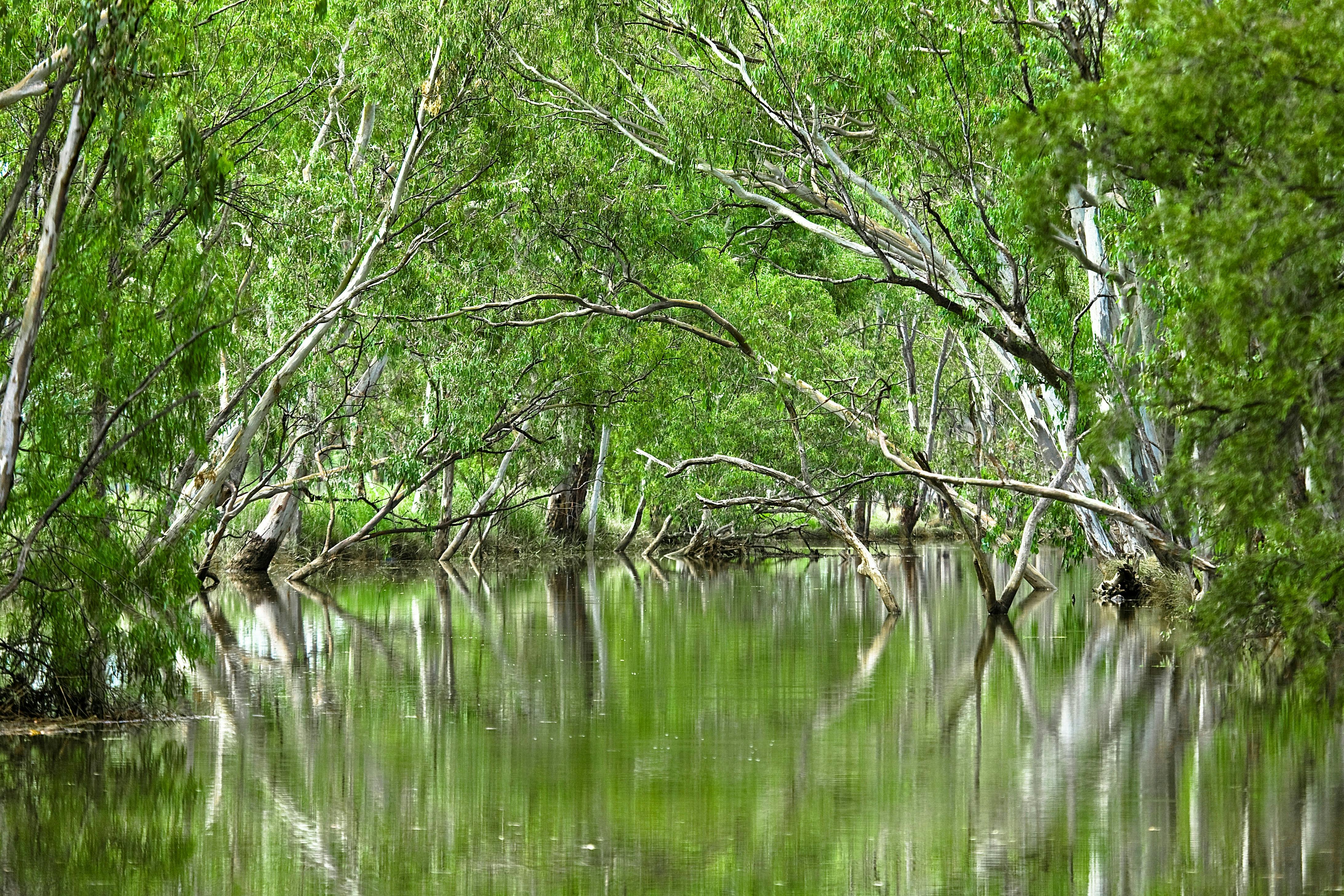 Injune Lagoon Walk