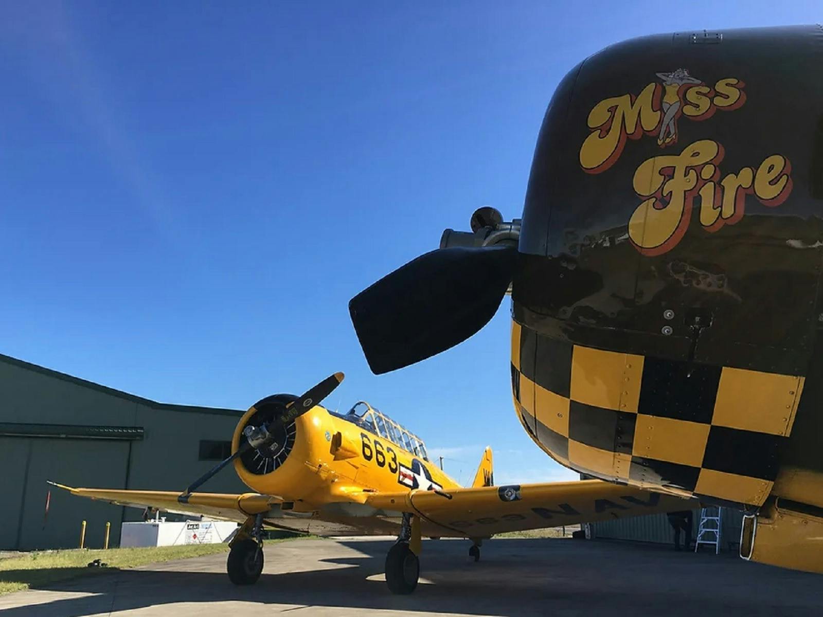 2 T6 texan planes on tarmac
