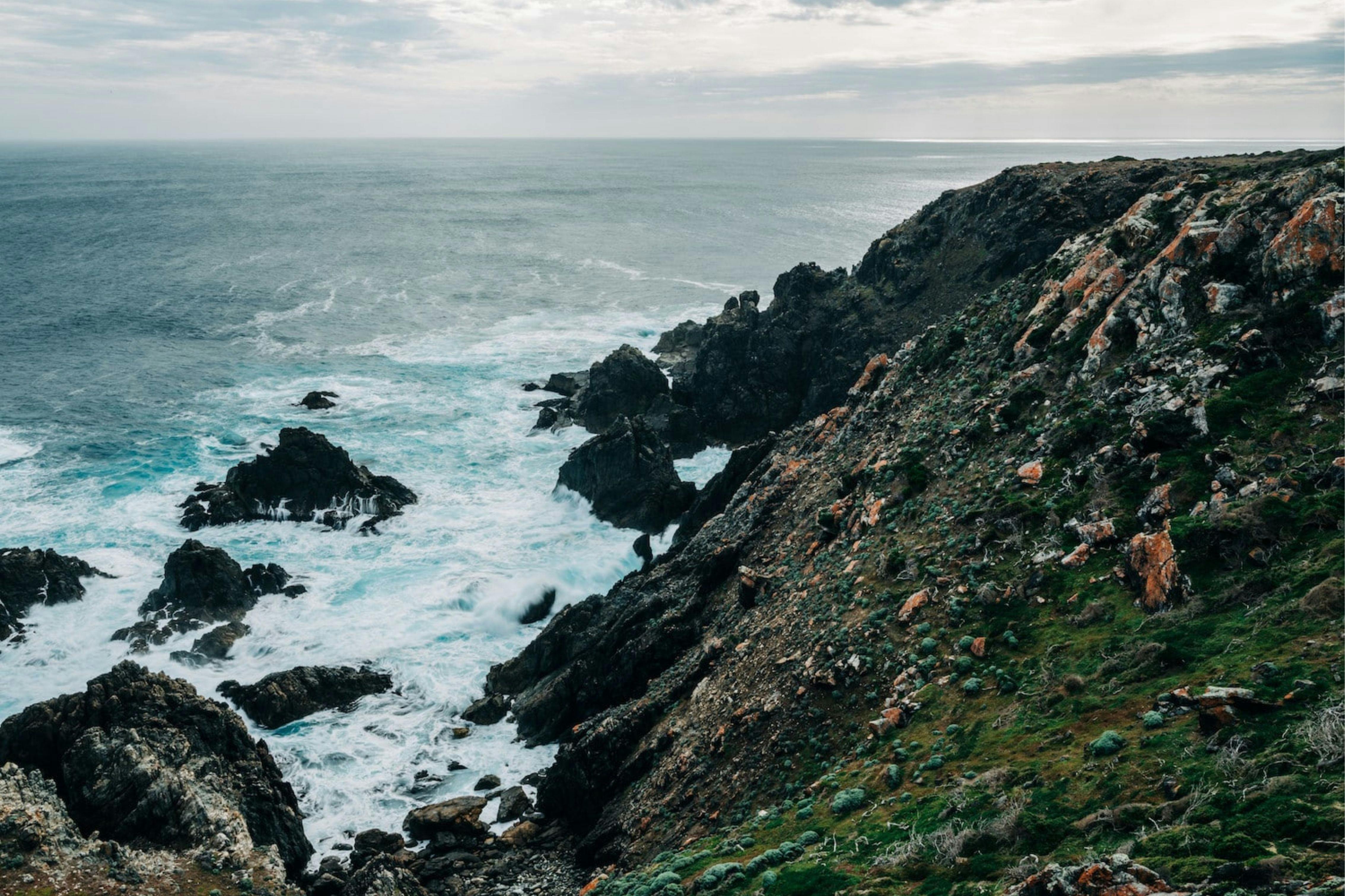 Seal Rocks and Copperhead Walk