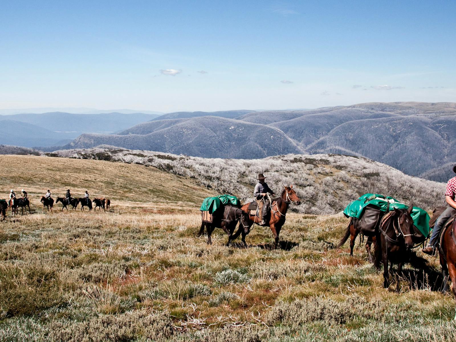 Mount Bogong