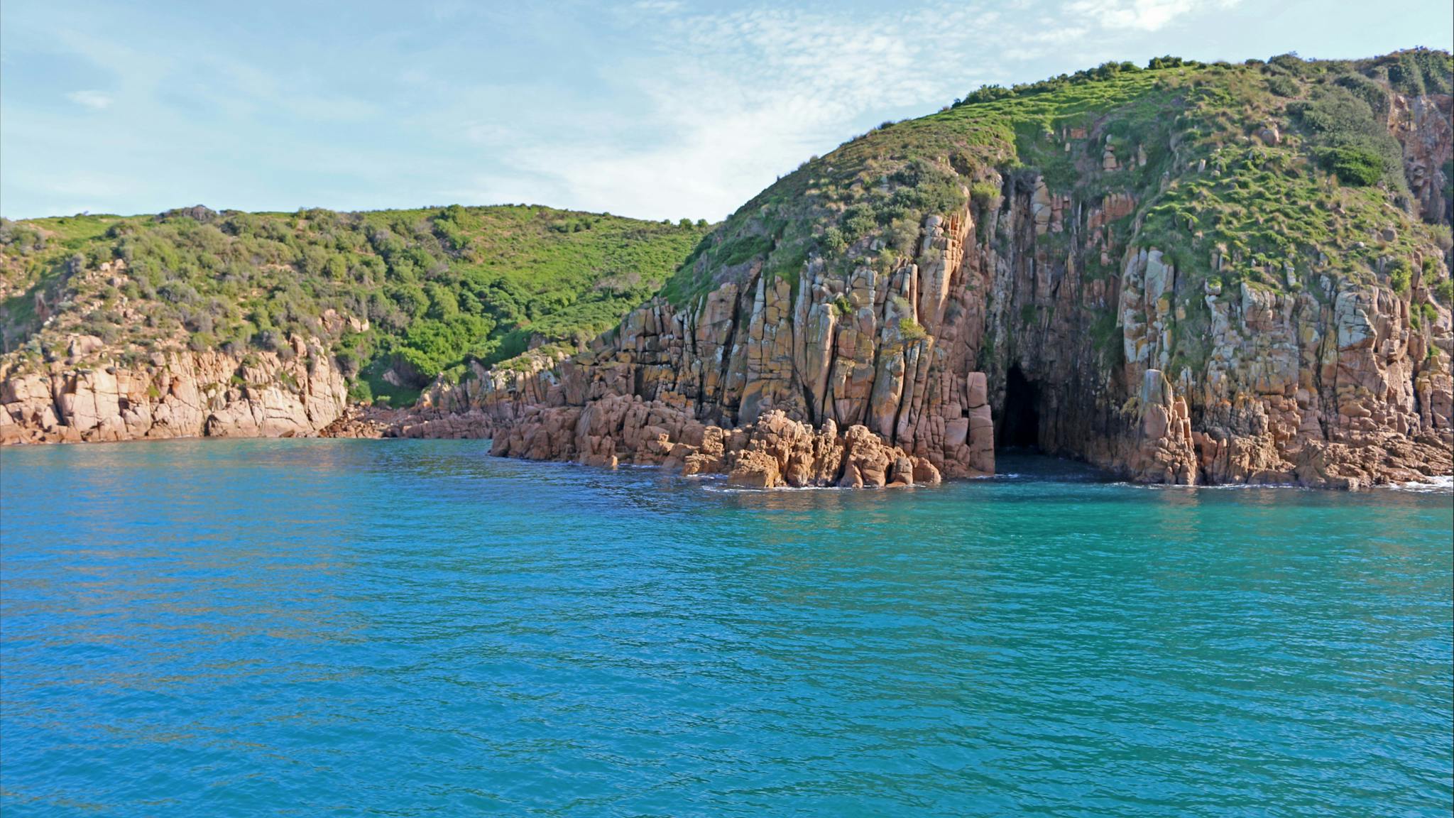 Wildlife Coast Cruises