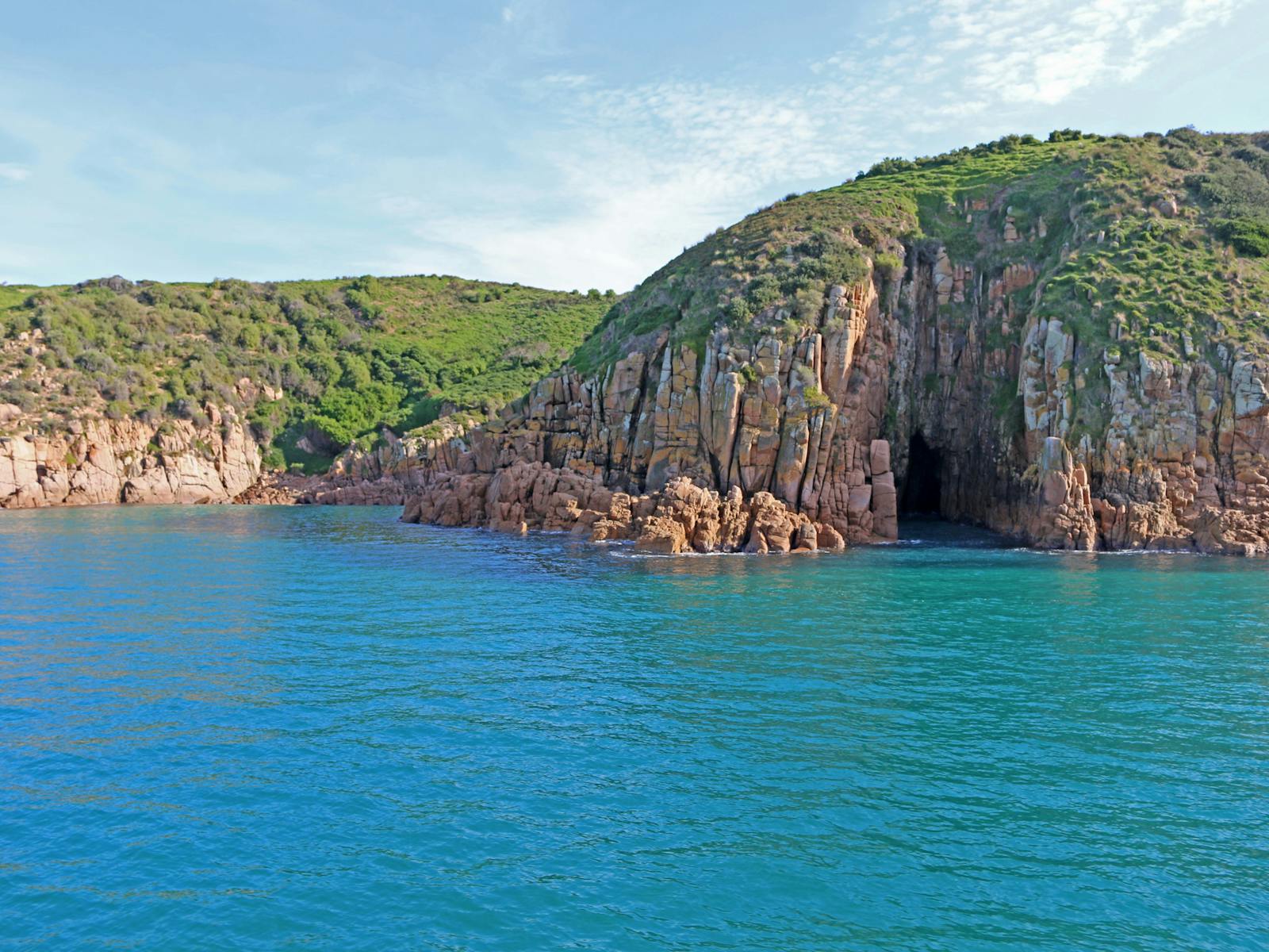 Wildlife Coast Cruises
