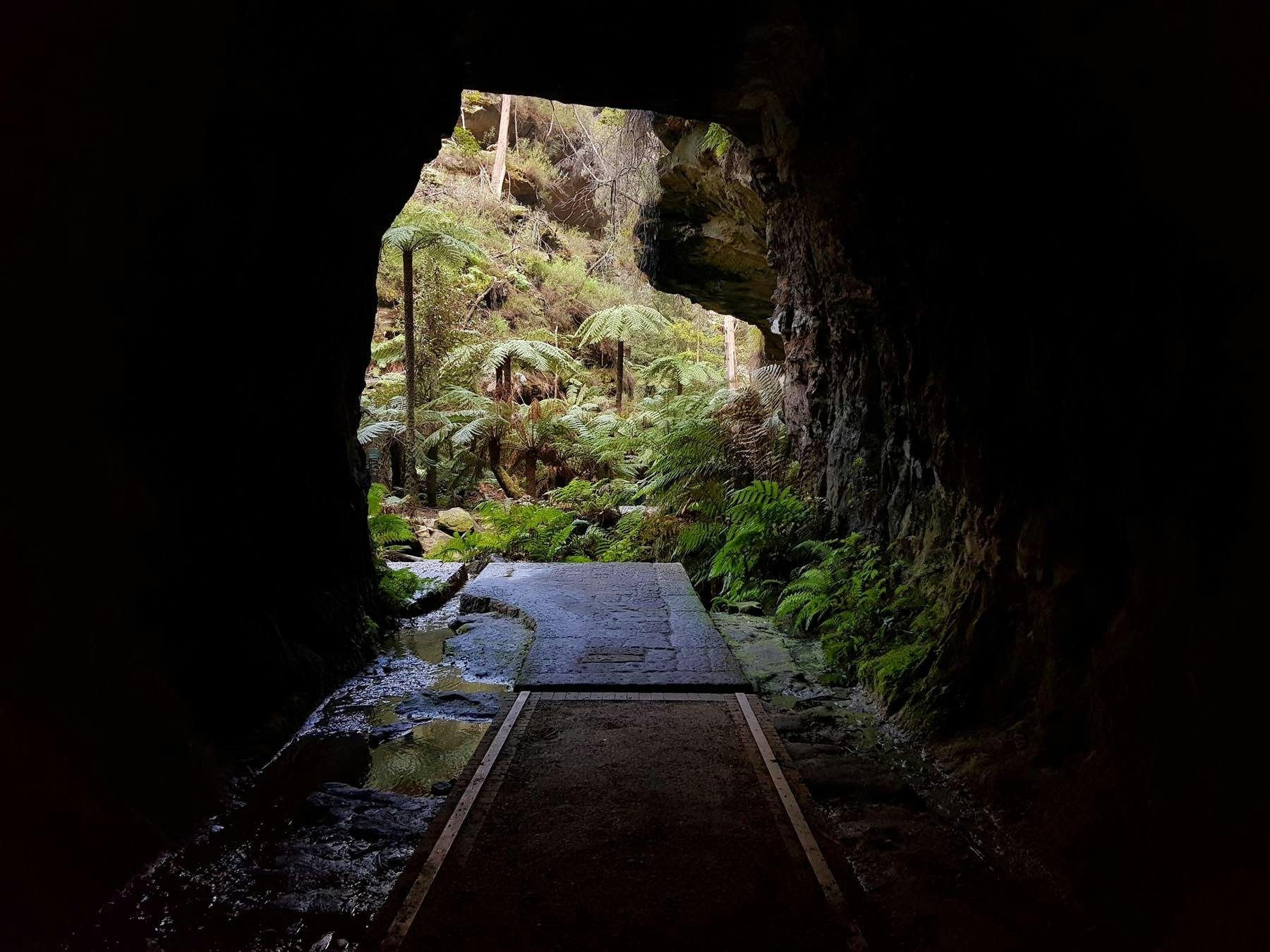 View from inside the Newnes Railway Glow Worm Tunnel looking out beyond the entrance. Wolgan Valley.