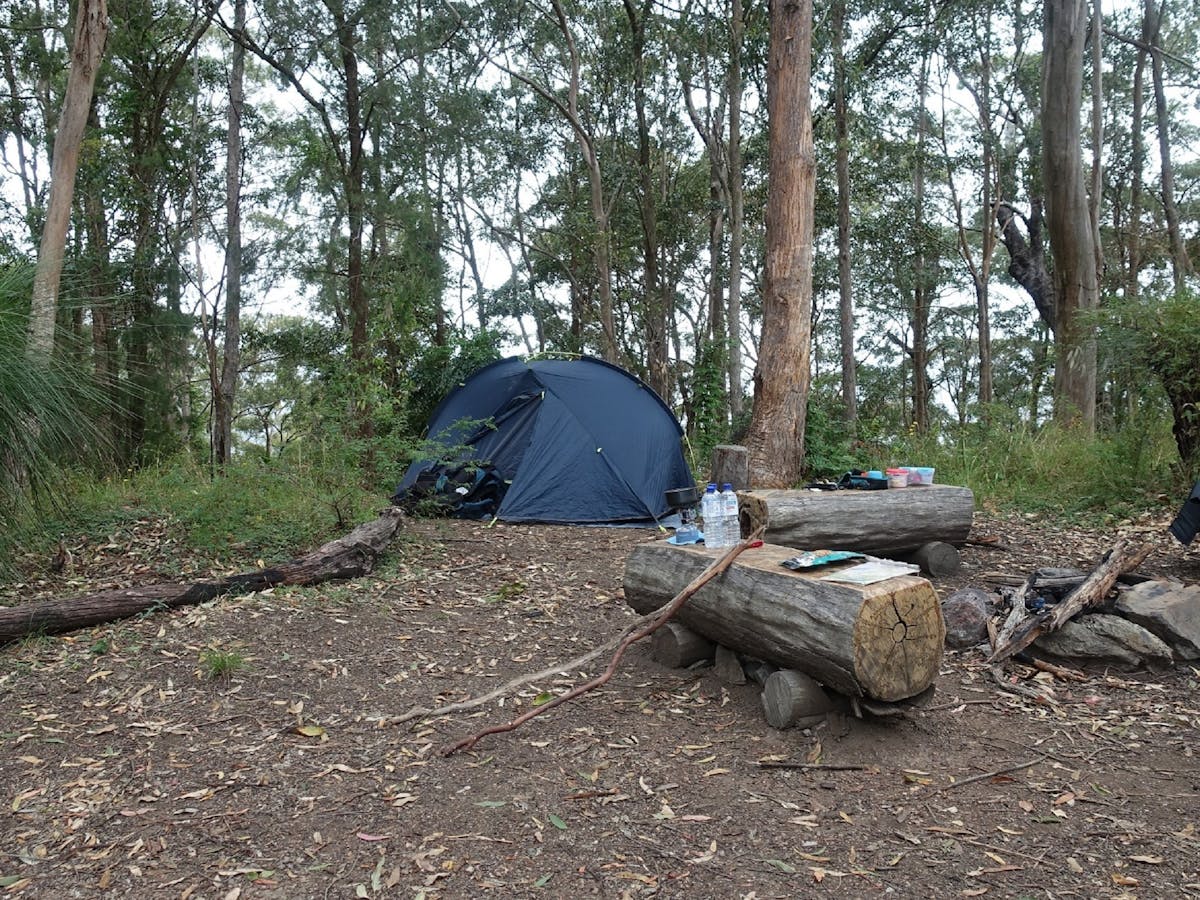 A campfire area in the Northbrook Mountain Bush Camp