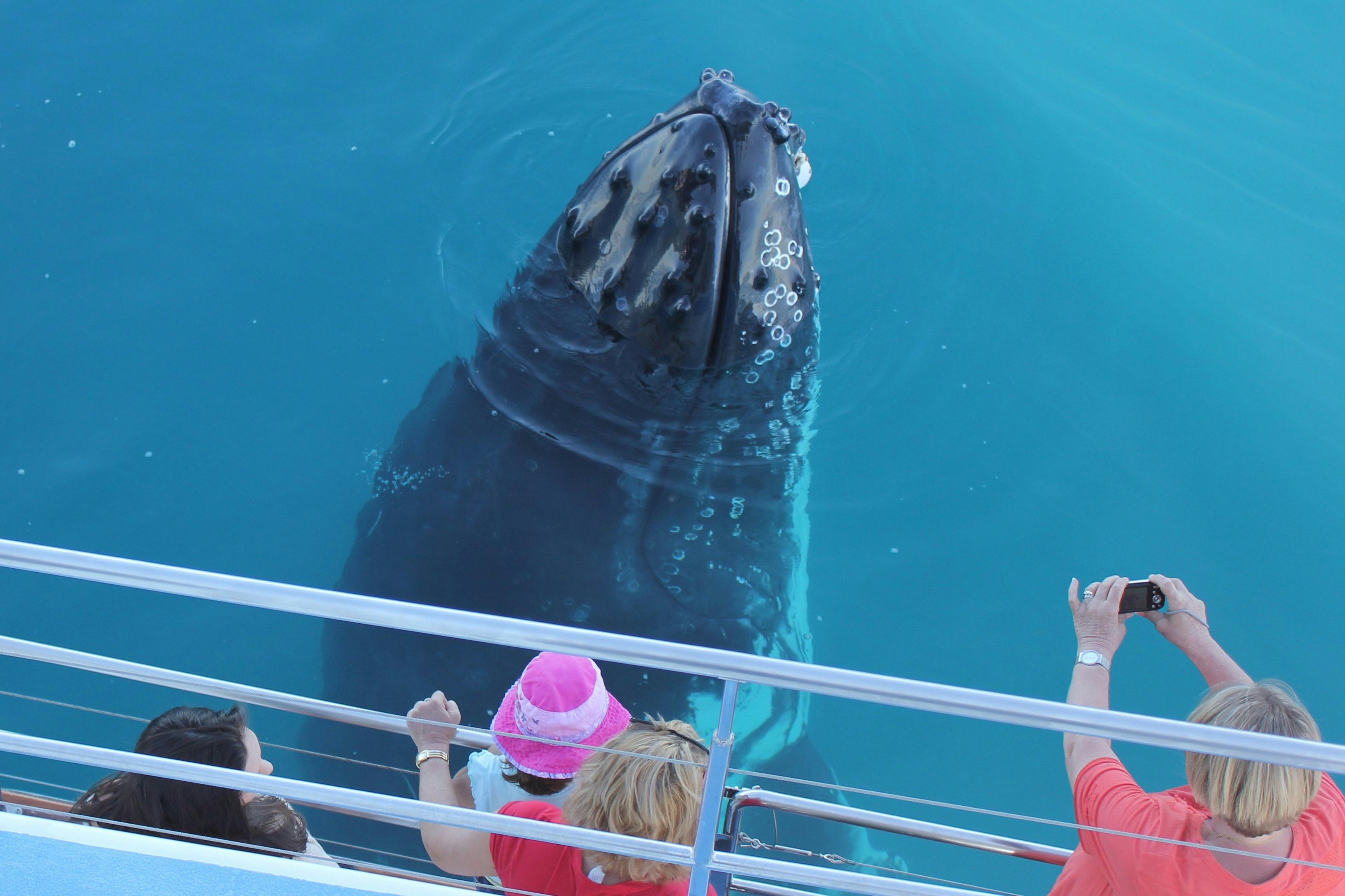 Spy hop alongside Freedom III