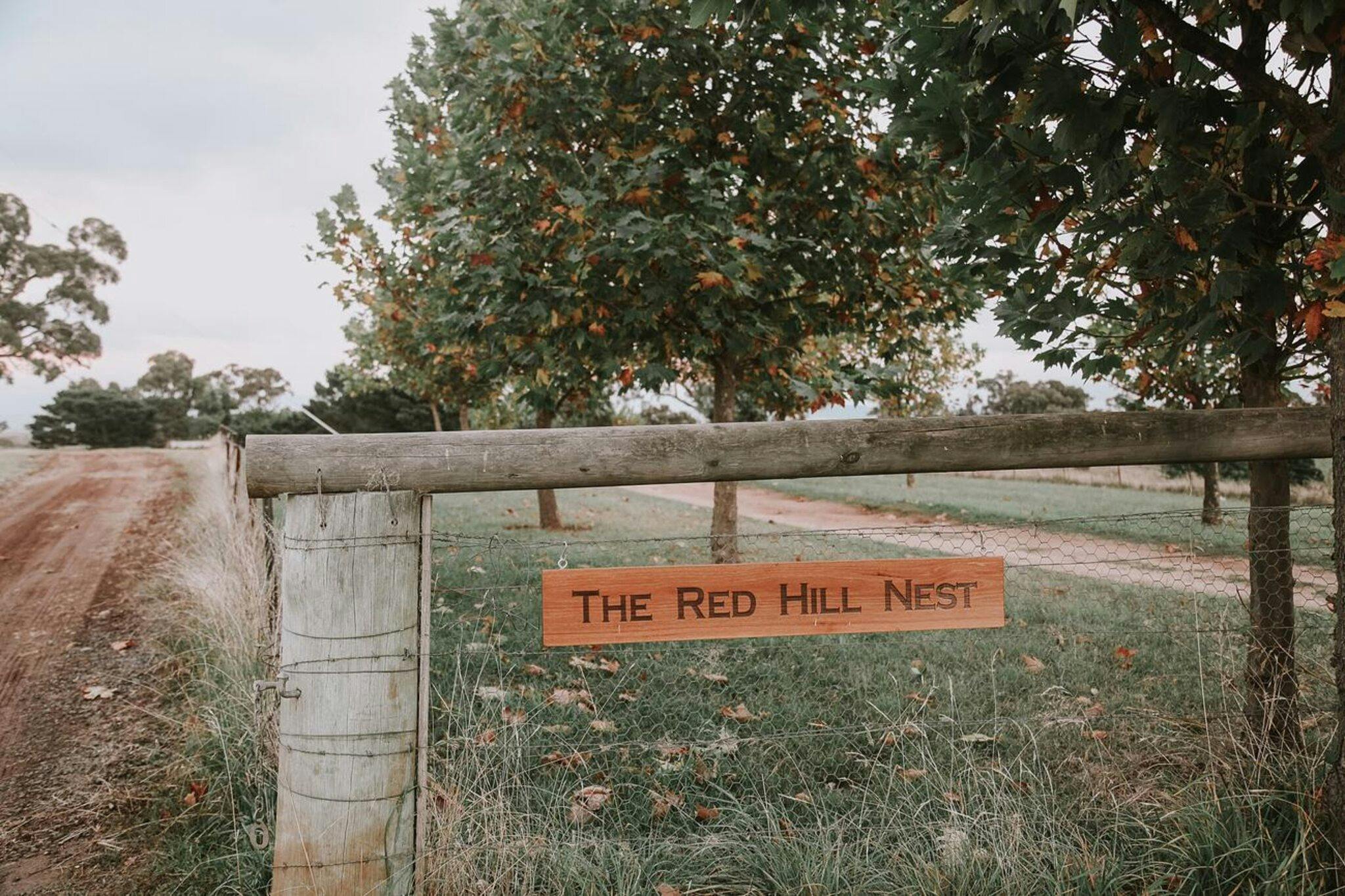 Welcome to The Red Hill Nest