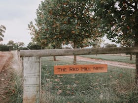 The Red Hill Nest