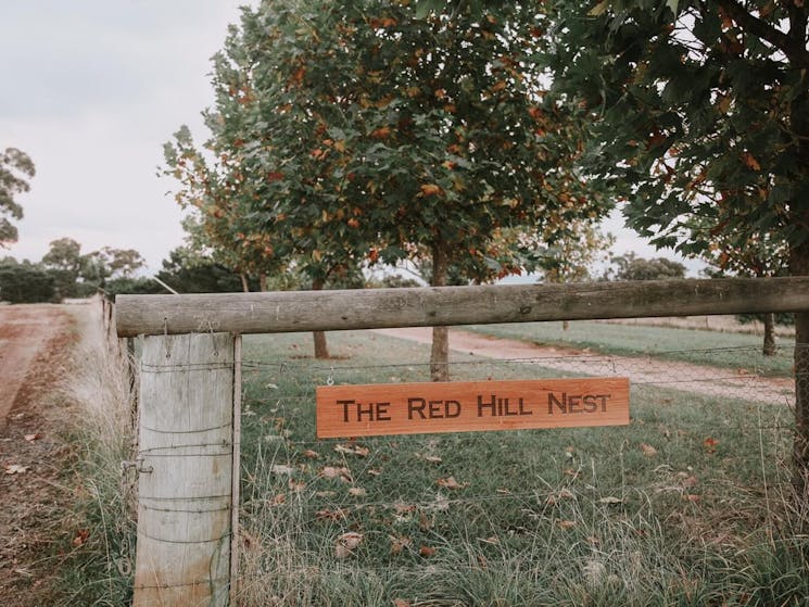 Welcome to The Red Hill Nest