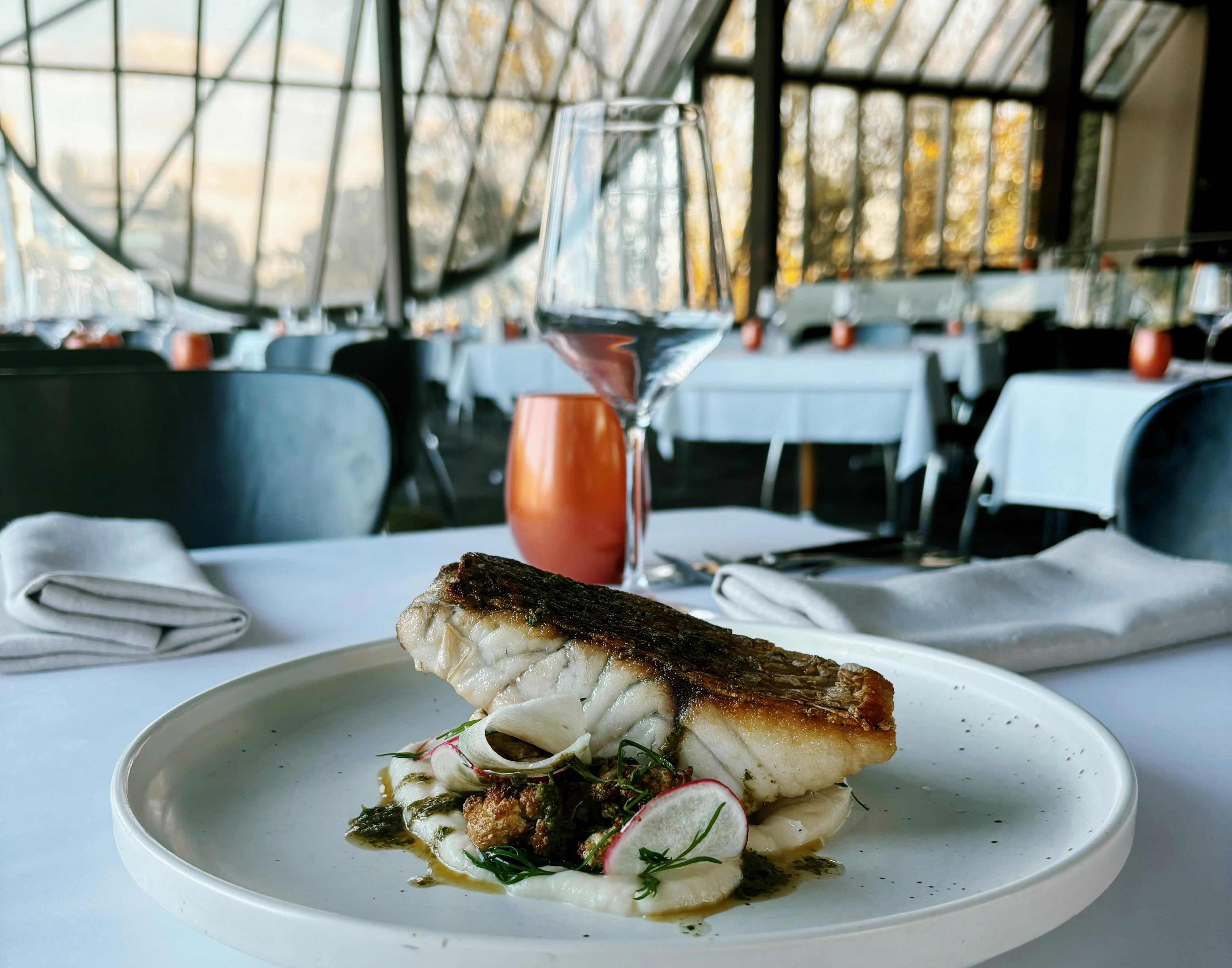 Pan-Roasted Barramundi [GF] wild lime chermoula, celeriac purée, roast cauliflower salad