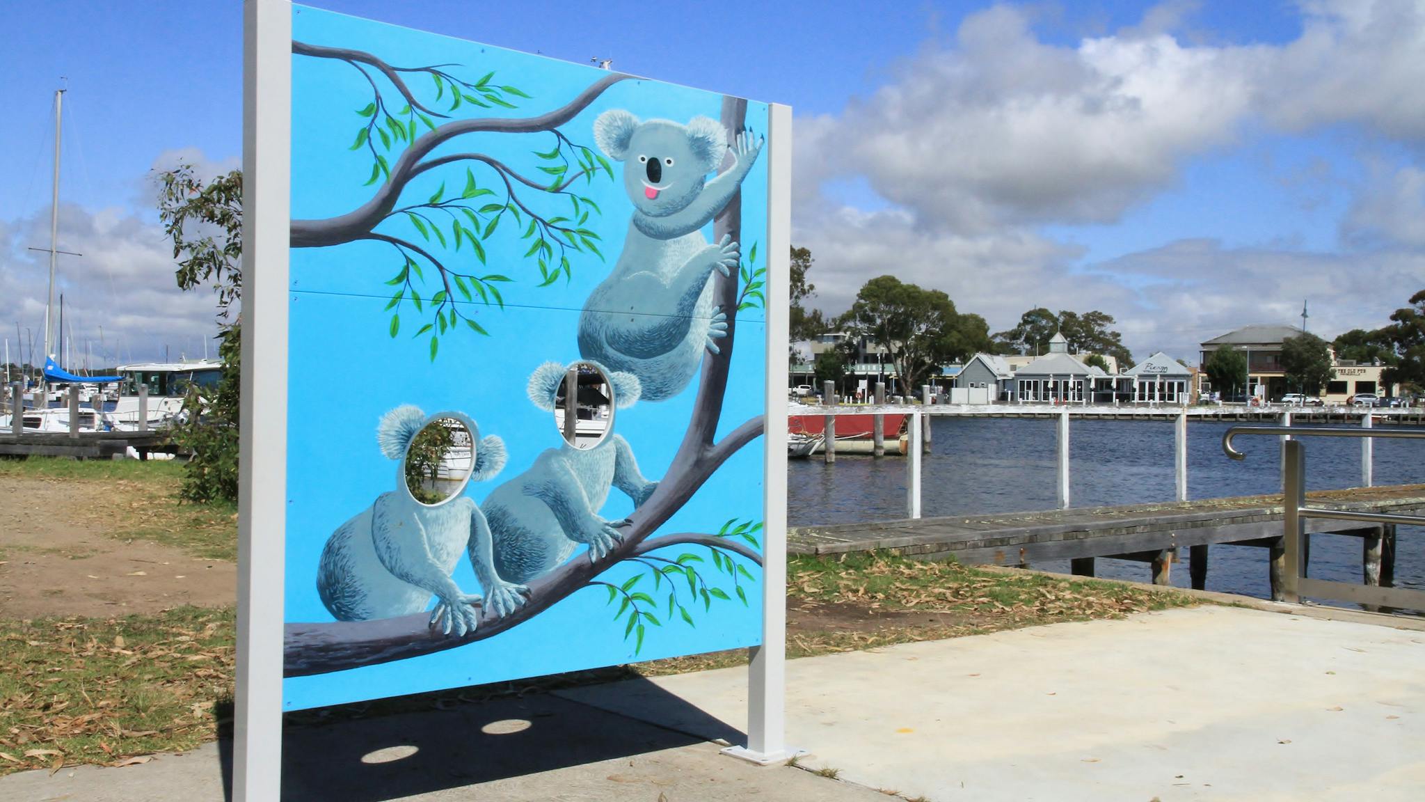 Koala Trail photo opportunity