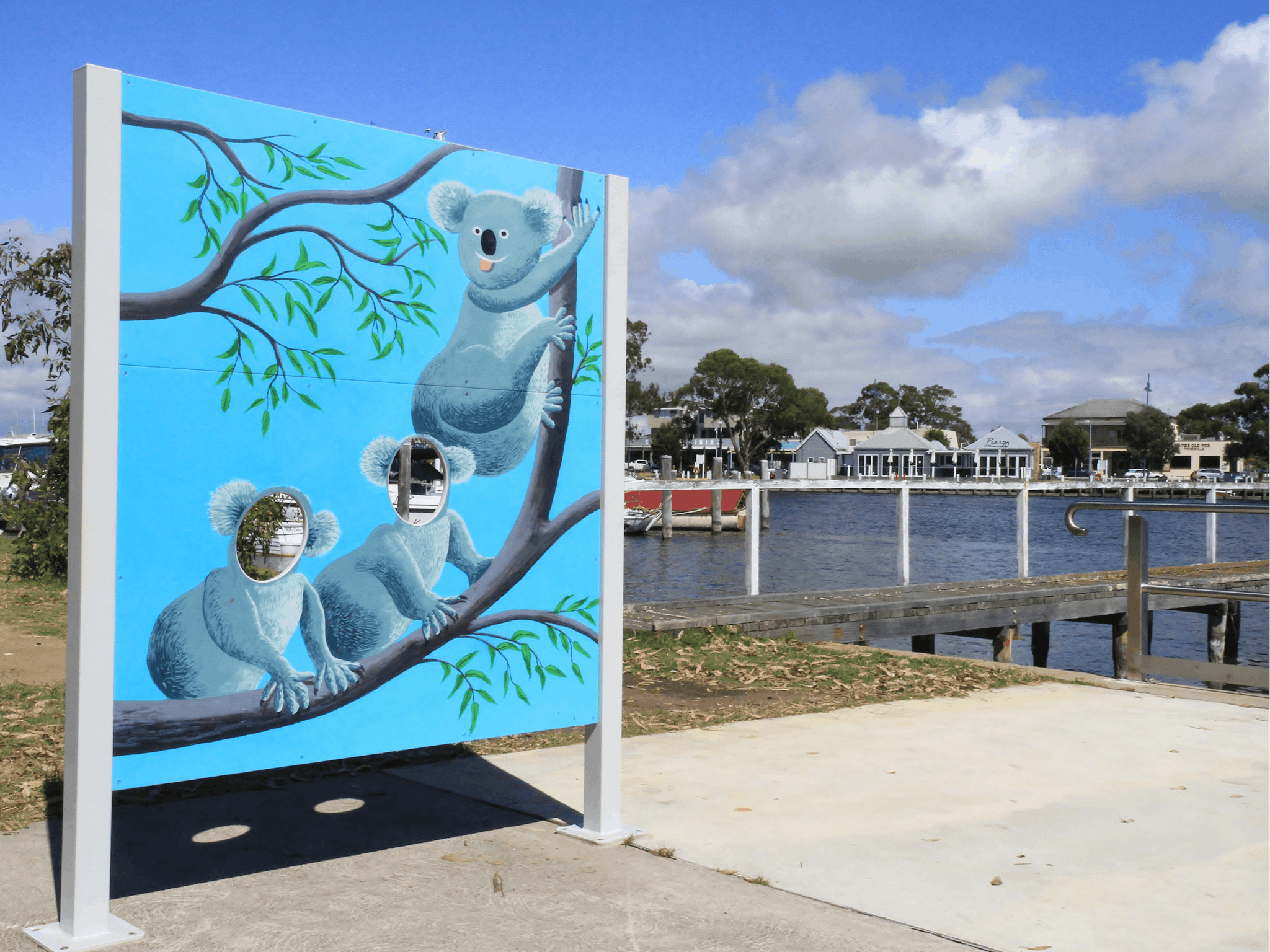 Koala Trail photo opportunity