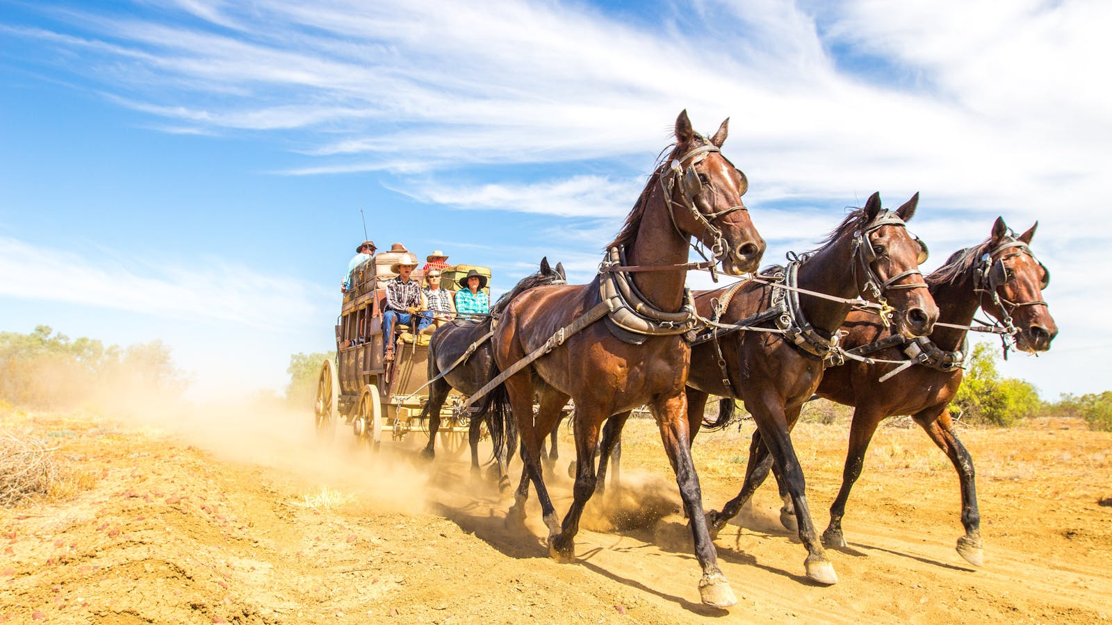 Outback Pioneers Stagecoach Experience
