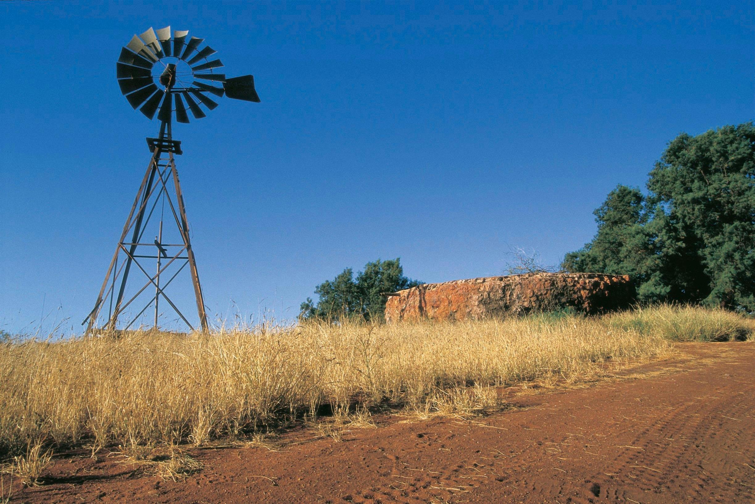 Cape Range Wildflower Trail, Exmouth, Western Australia