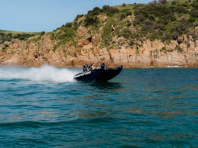 Ocean Adventures Phillip Island