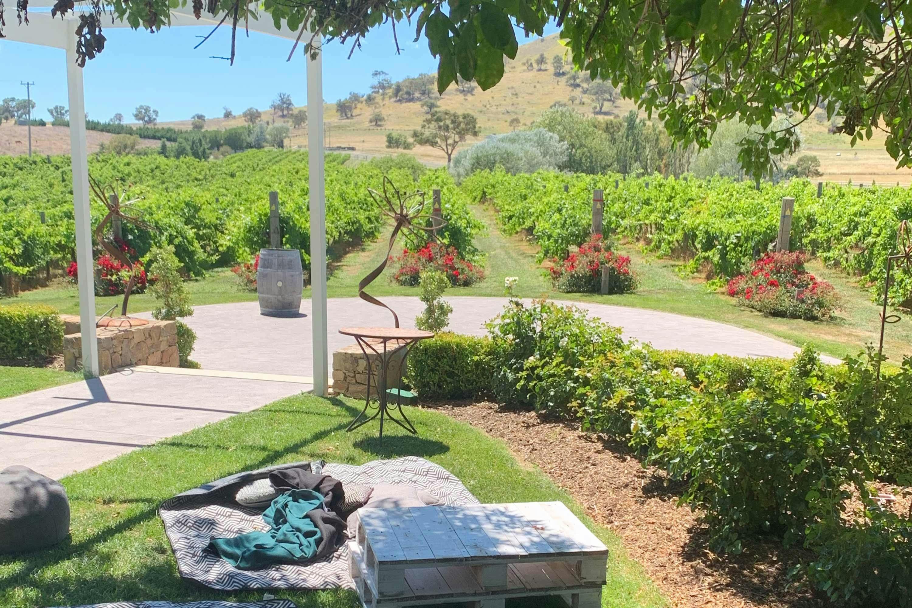 Brindabella  hills spring picnic