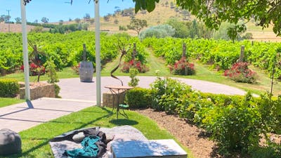 Brindabella  hills spring picnic