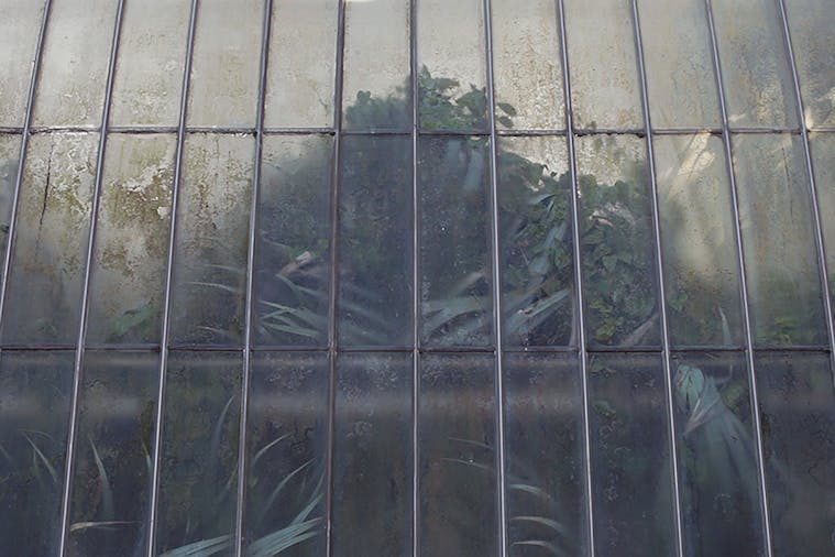 Pilar Mata Dupont: The Ague