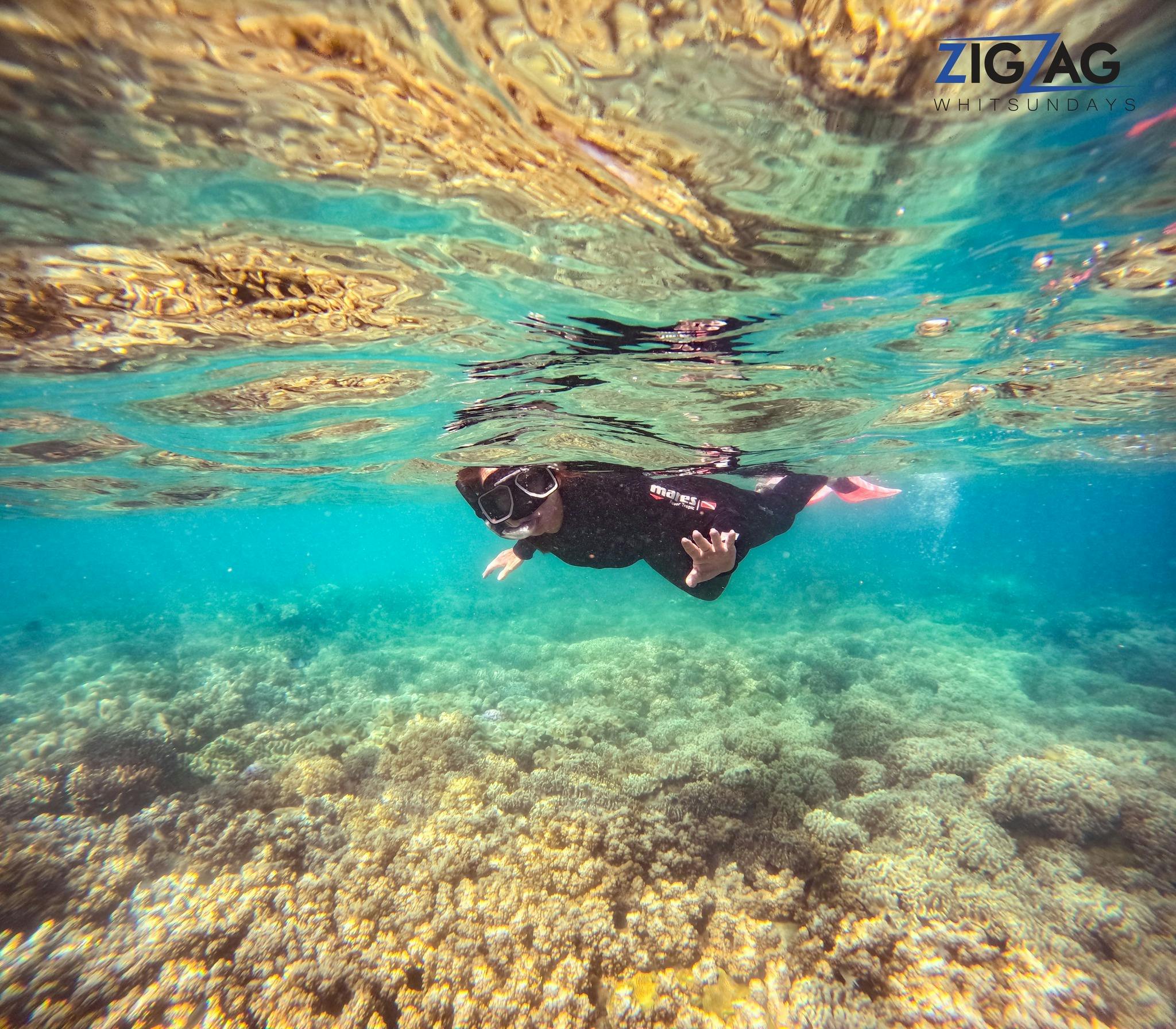 snorkelling