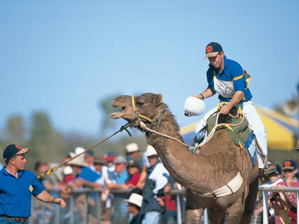 Camel Racing