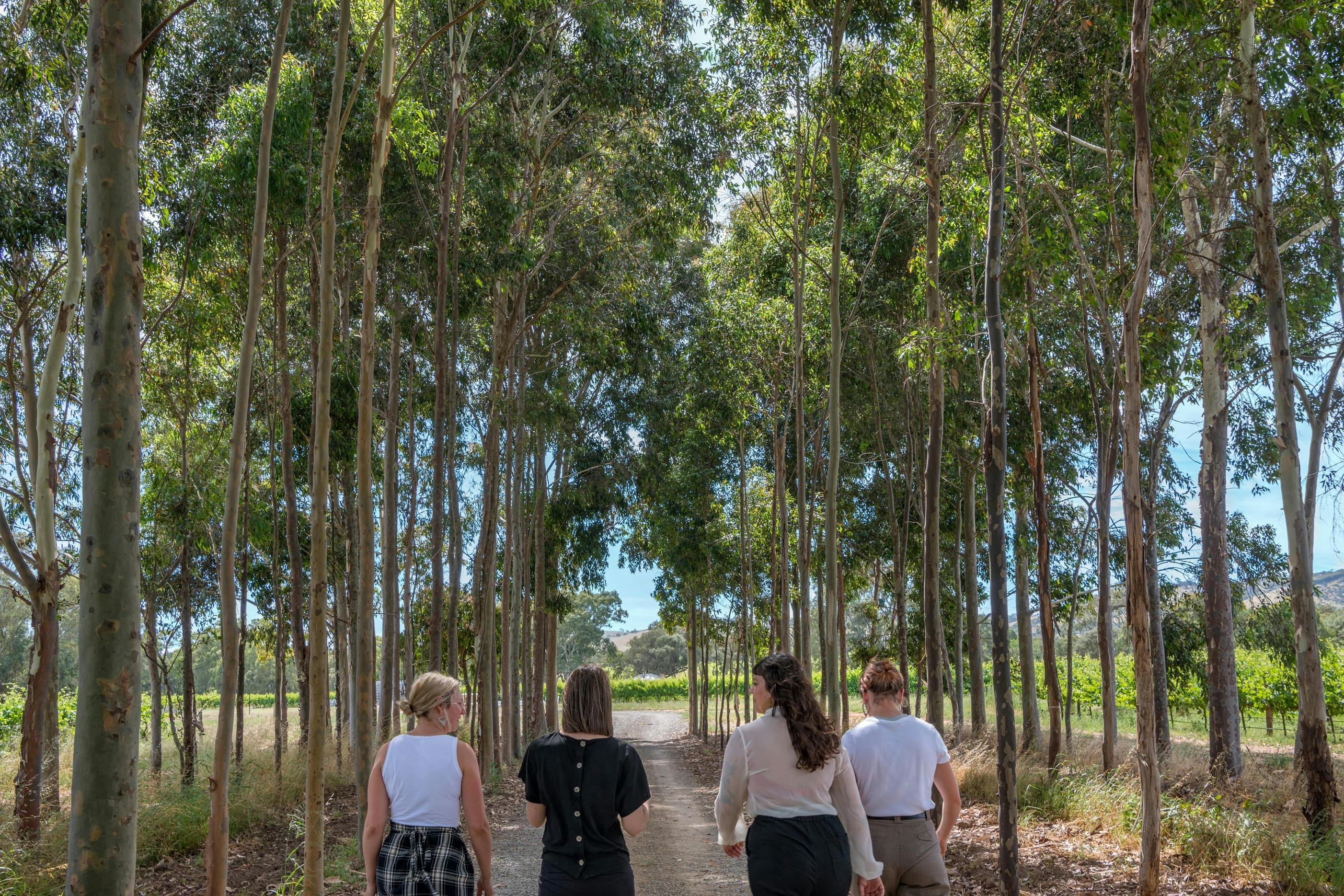 Walking to lunch between the woodlot