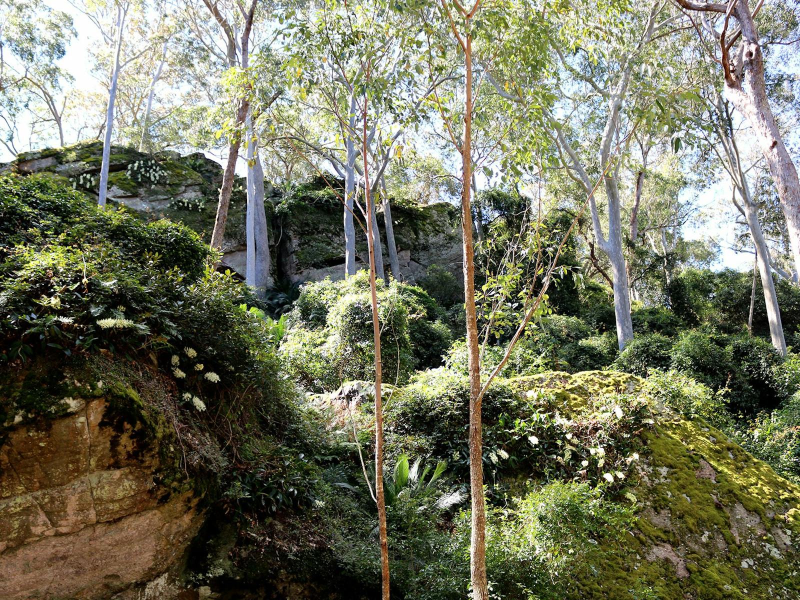 Amphitheatre at Bundanon Trust