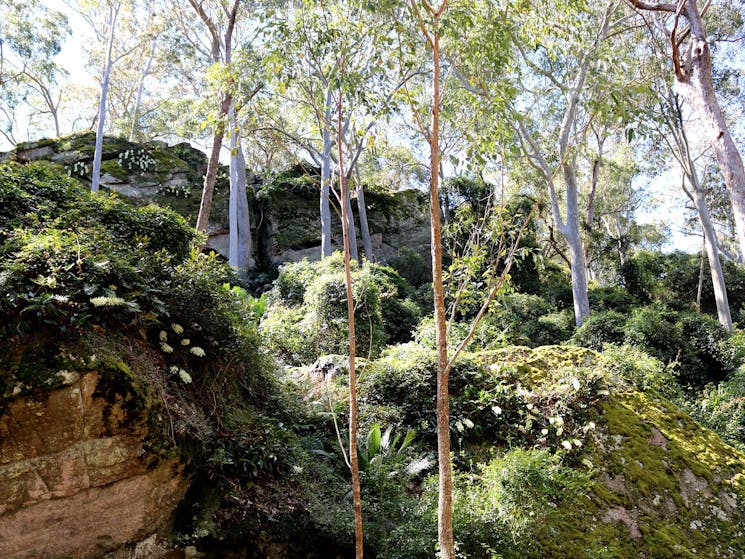 Amphitheatre at Bundanon Trust