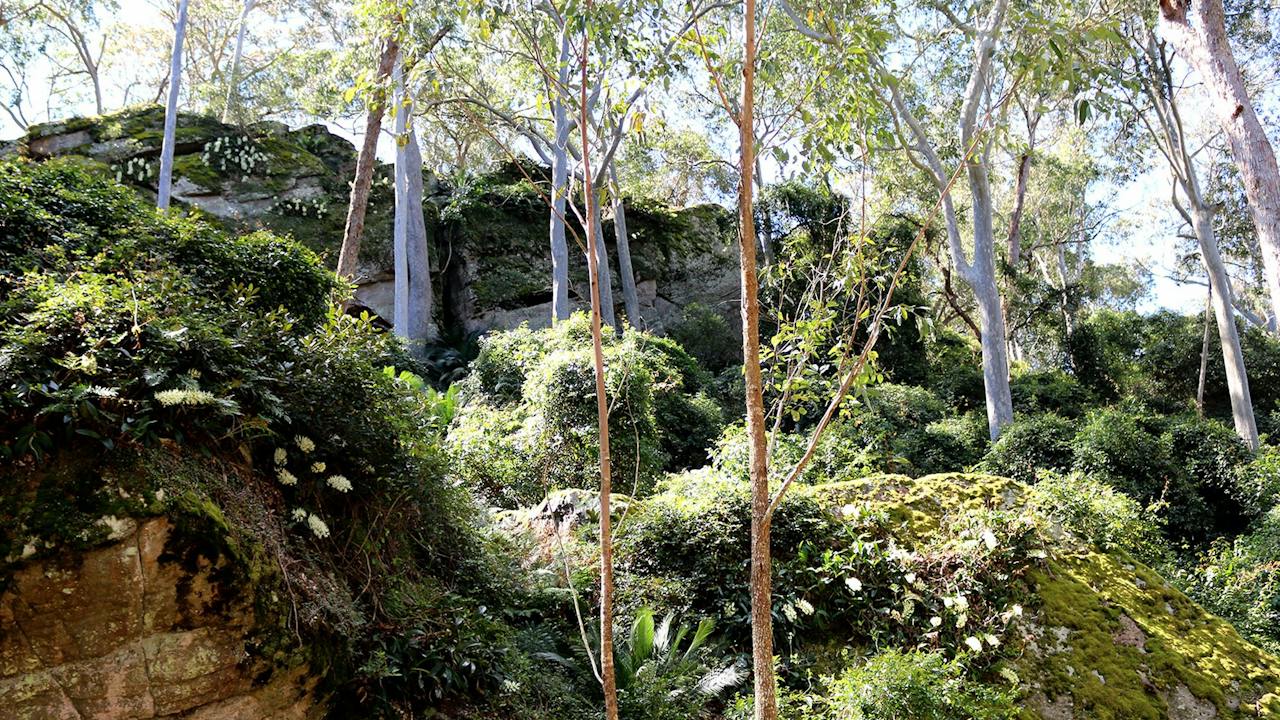 Amphitheatre