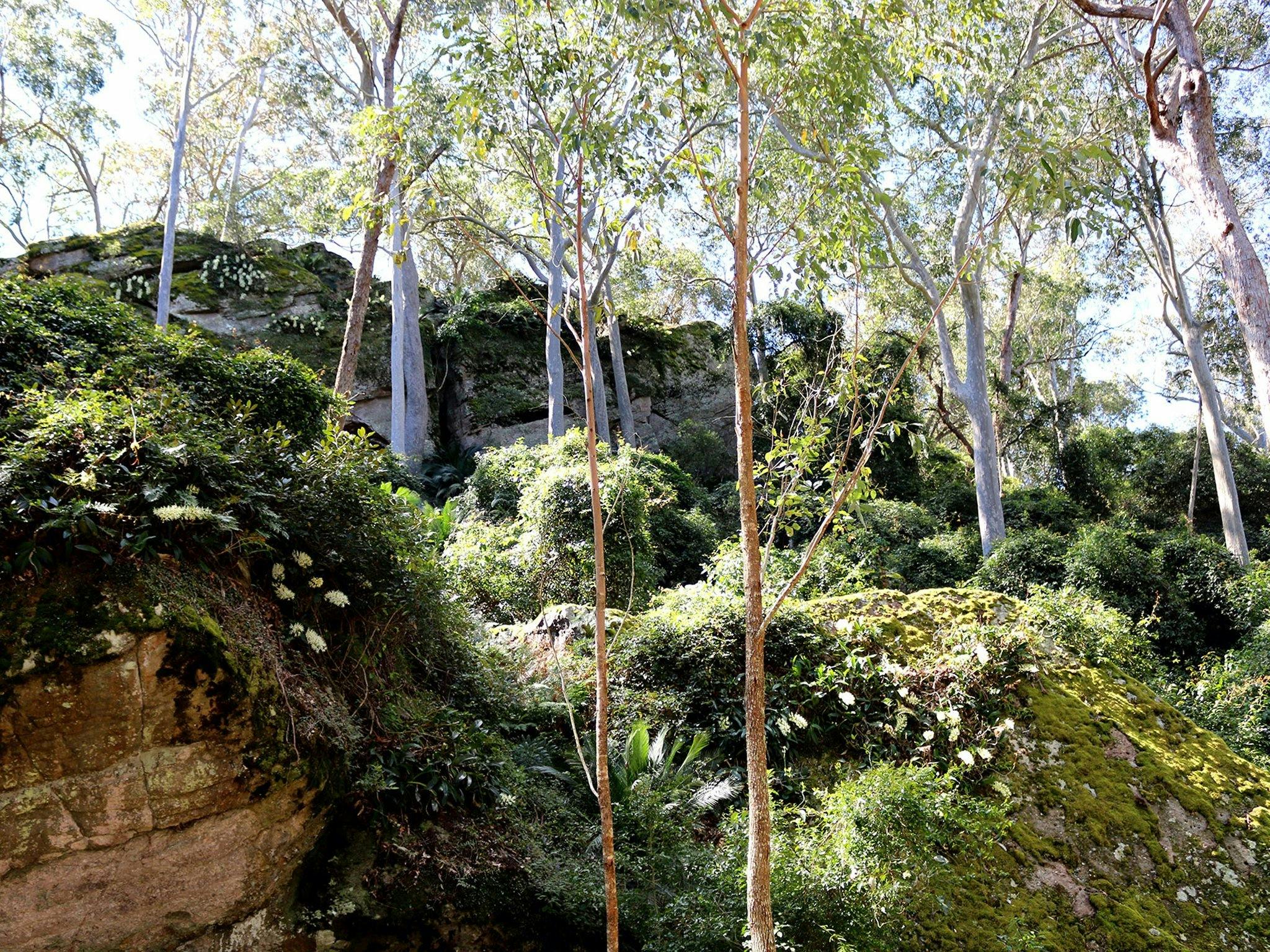 Amphitheatre at Bundanon Trust