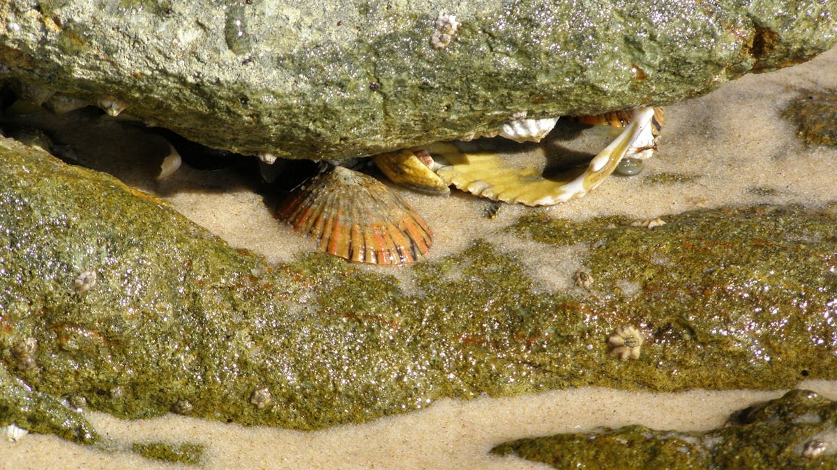 You can experience rocky outcrops and tidal pools whilst walking along Frenchman's Beach.