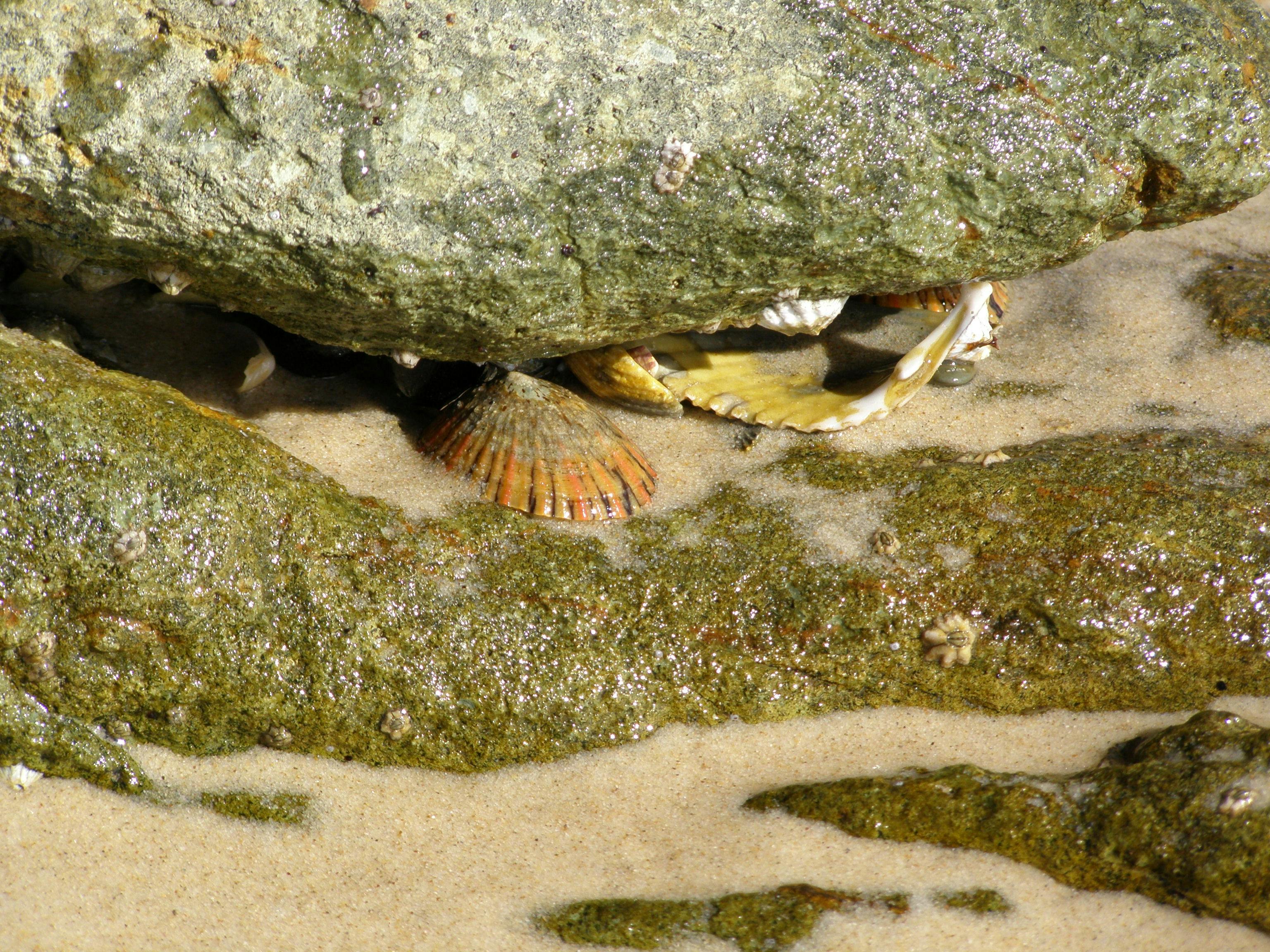 You can experience rocky outcrops and tidal pools whilst walking along Frenchman's Beach.