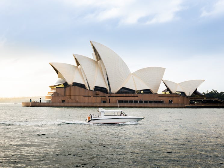 Water taxi in Sydney is the best way to avoid crowds and Experience the Sydney Opera House.