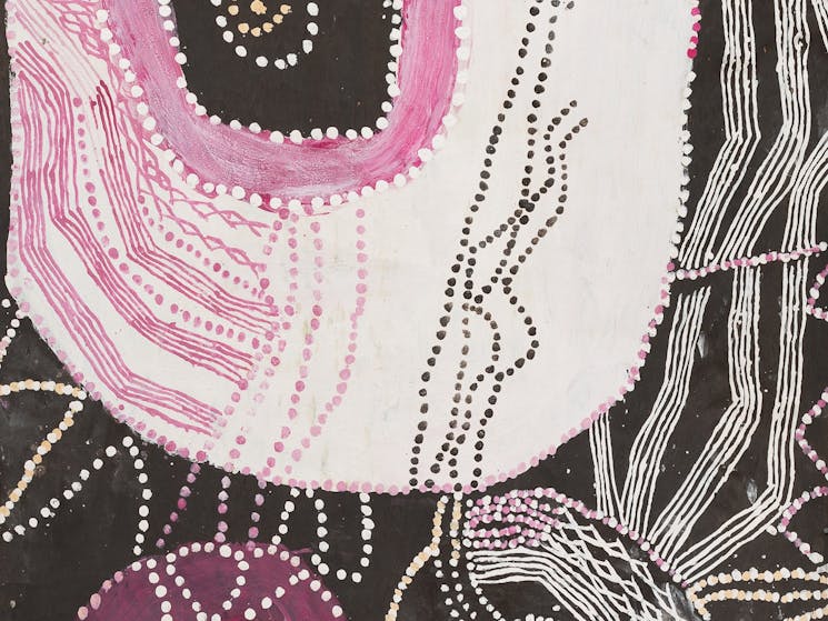 NoŊgirrŊa Marawili, Baratjala, (detail) 2020, earth pigments and recycled print toner on stringybark