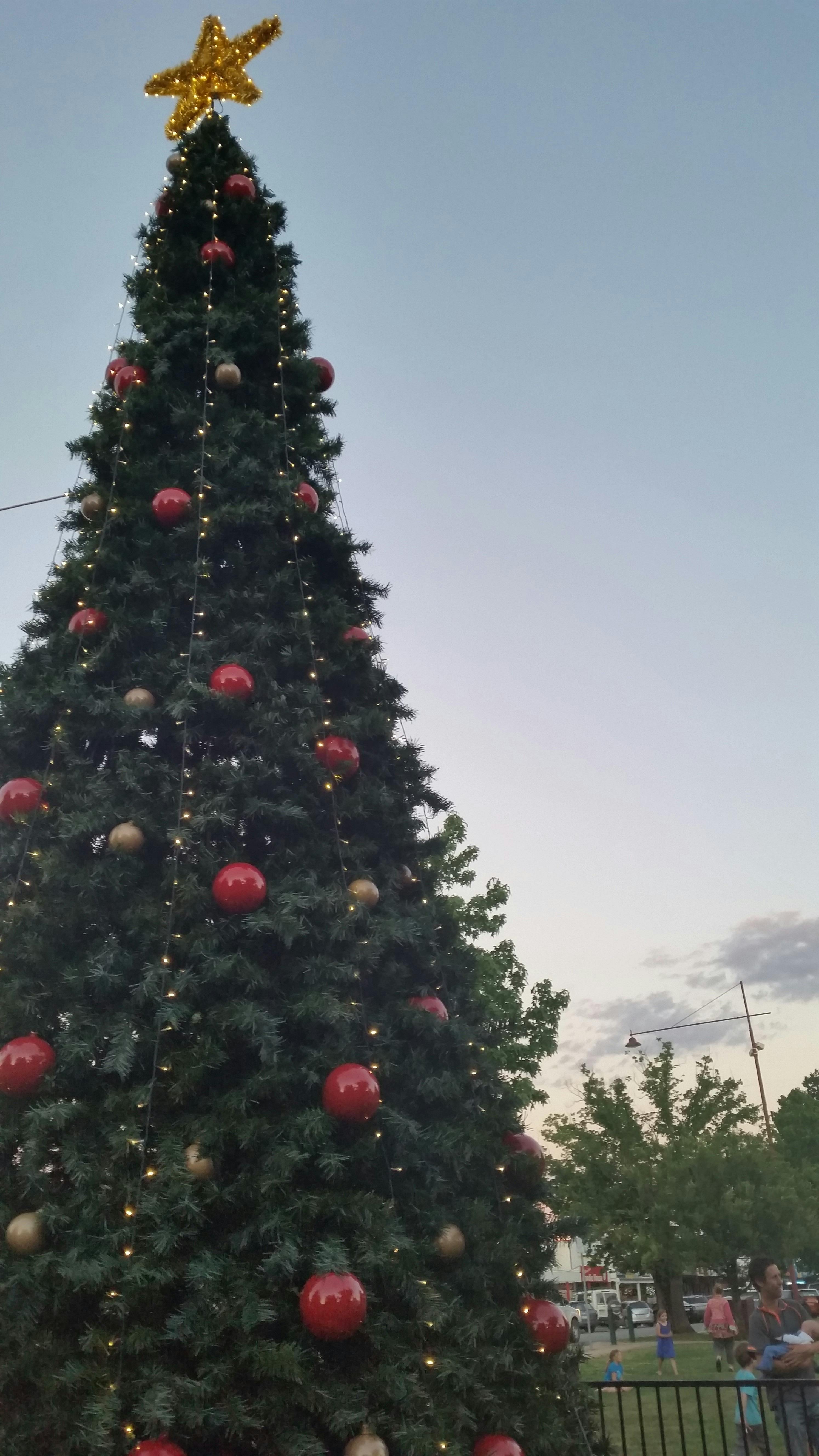 Mansfield Community Christmas Picnic and Carols